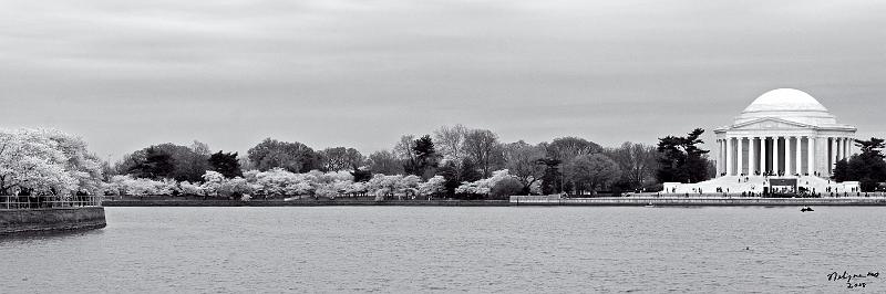 20080403_115058 D300 P1.jpg - Jefferson Memorial from Tidal Basin